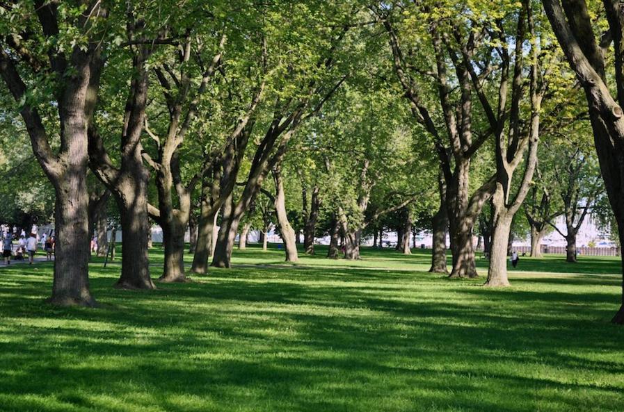Modern 2Br Downtown Condo, Lakeshore, Exhibition Place, Fort York Toronto Exterior photo